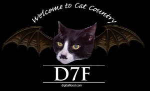 D7F - Welcome to Cat Country