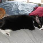 Groucho & Shiva Chillaxing - 2006