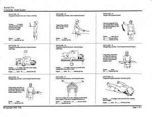 Basic Shoulder Therapy Excercises