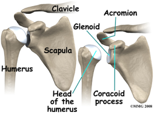 Shoulder Dislocation Anatomy - Source: eorthopod.com