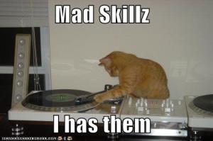 Deejaying - So easy even a drunk cat can do it.